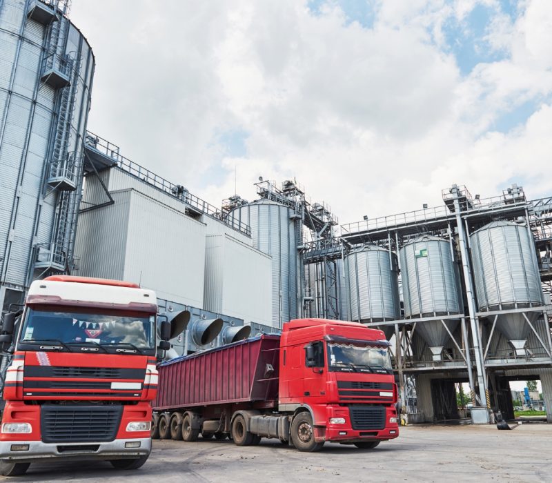 Tailgate Freight Logistics Service